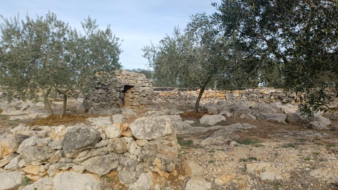 3Natura Avinyonet de Puigventos Exterior photo