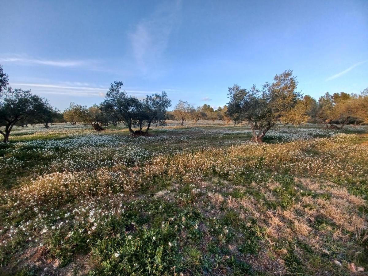 3Natura Avinyonet de Puigventos Exterior photo