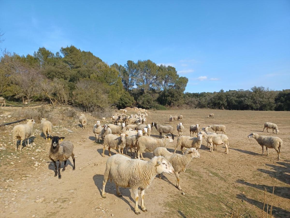 3Natura Avinyonet de Puigventos Exterior photo